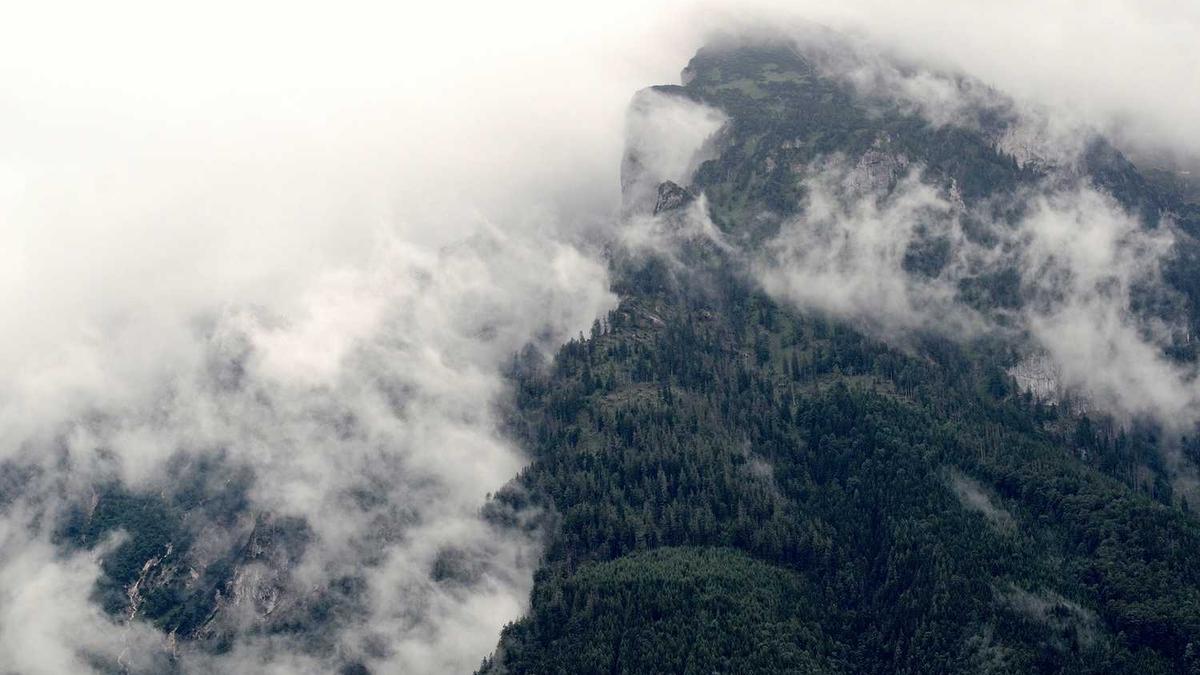 西南联合研究生院文凭是哪所大学的