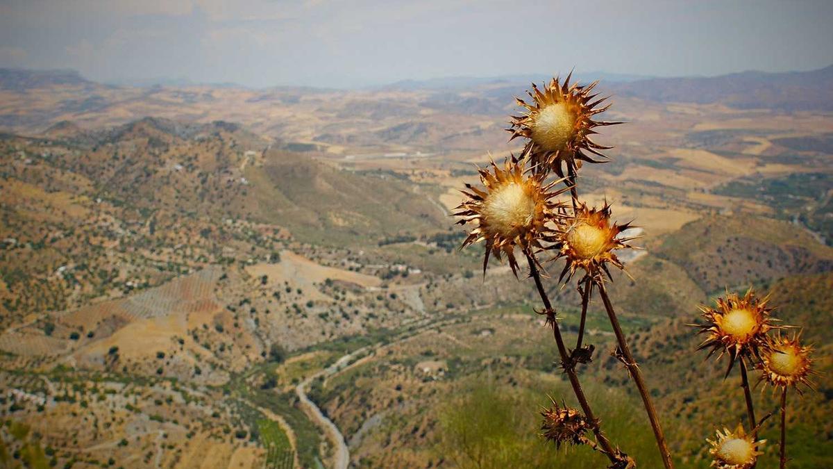 重庆到内蒙通辽邮费_重庆到内蒙古的自驾旅游路线