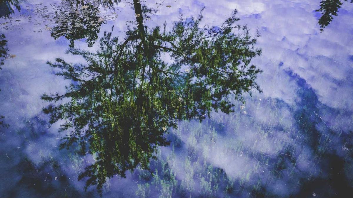 荔城区有几个副区长