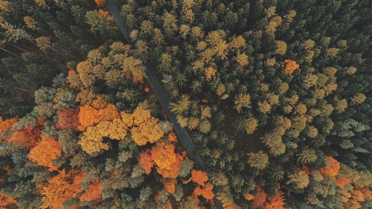 中书协原农业部部长是谁