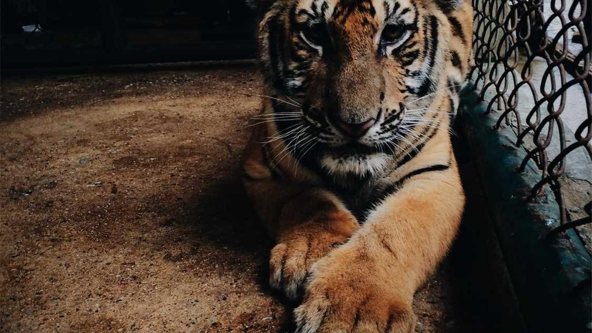 吕梁高等师范专科学校在山西排名多少