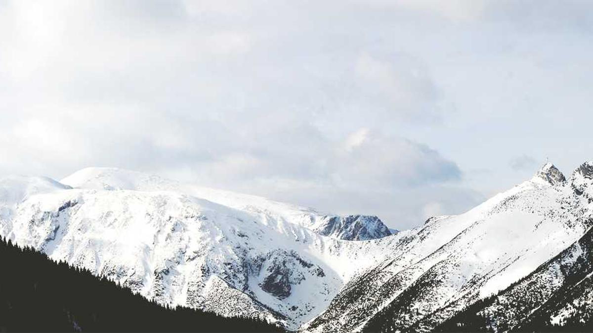 蚌埠工商学院专升本2025学费