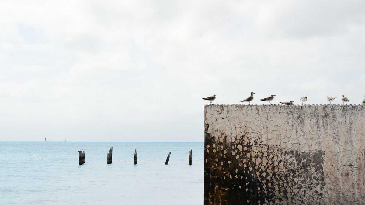 吉林省公务员考试网怎么进不去,没办法打准考证,怎么办?