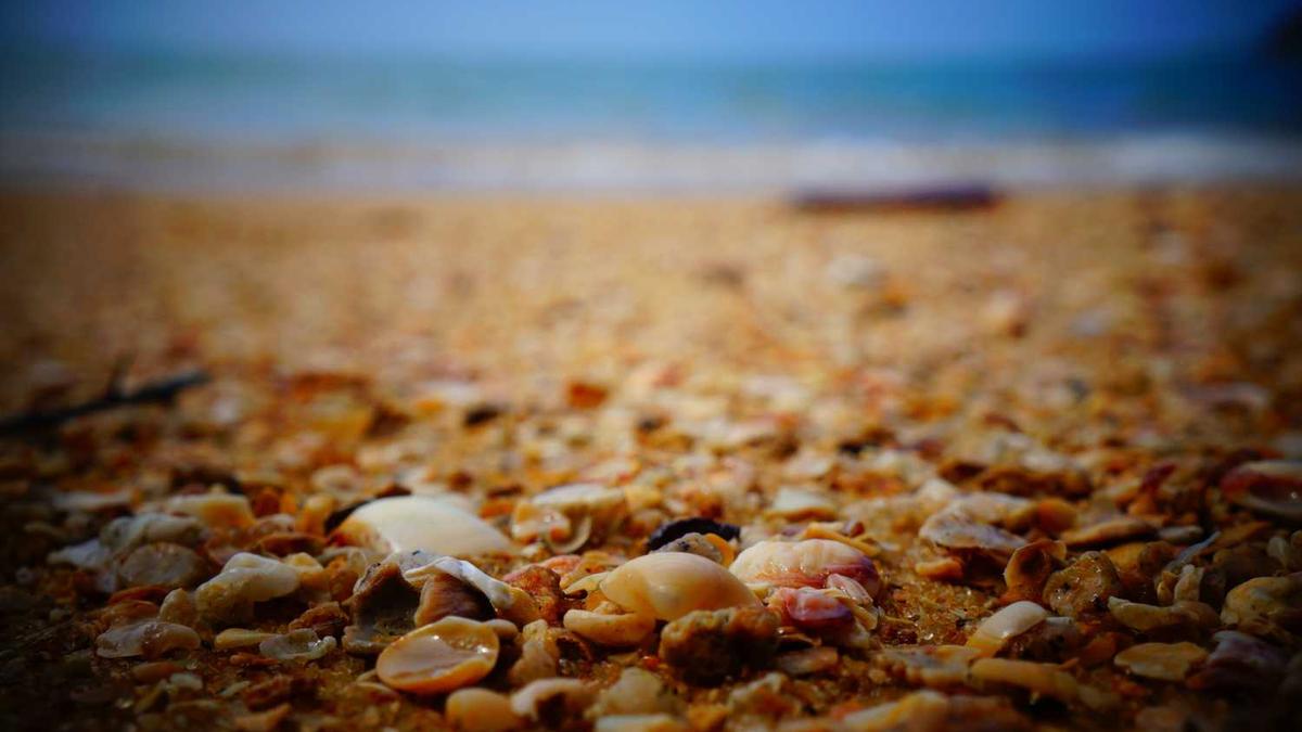 雅安最适合学生的地方