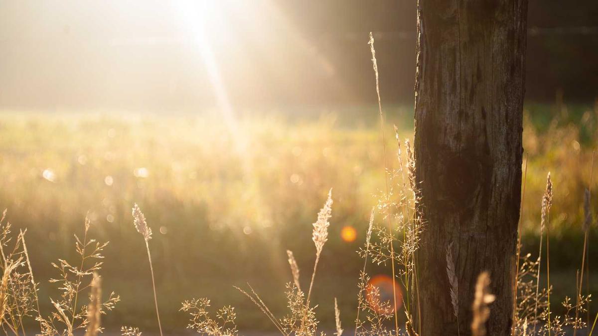 哈尔滨海洋馆里都有什么动物