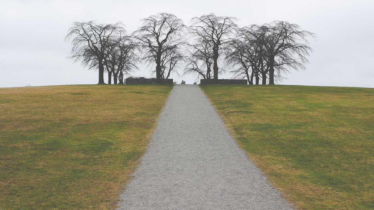 龙坝乡领导分工