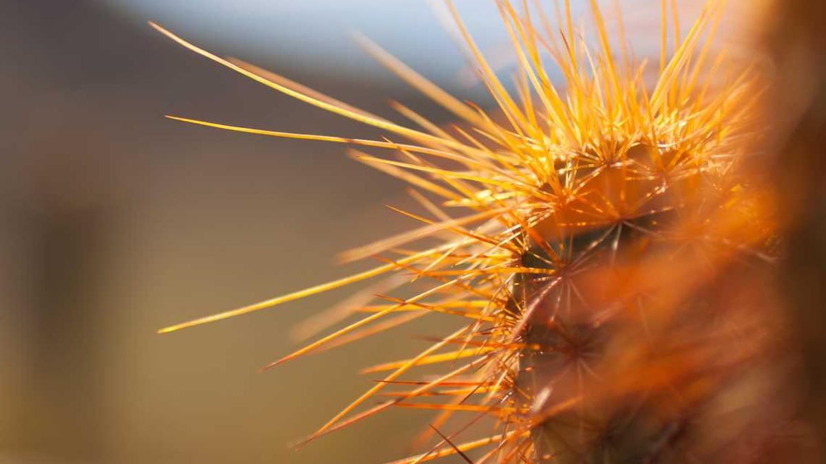 呼伦贝尔旅游之呼伦贝尔概况