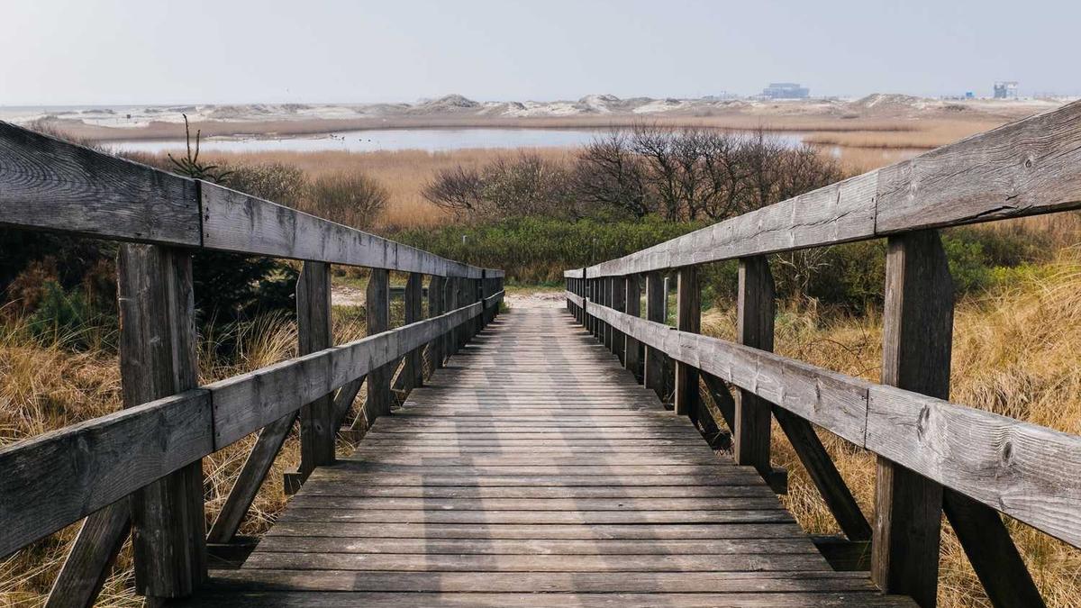 疯狂“五一”:国内游市场迎来复苏新高潮,出境游稍显逊色仍需看待下半场...