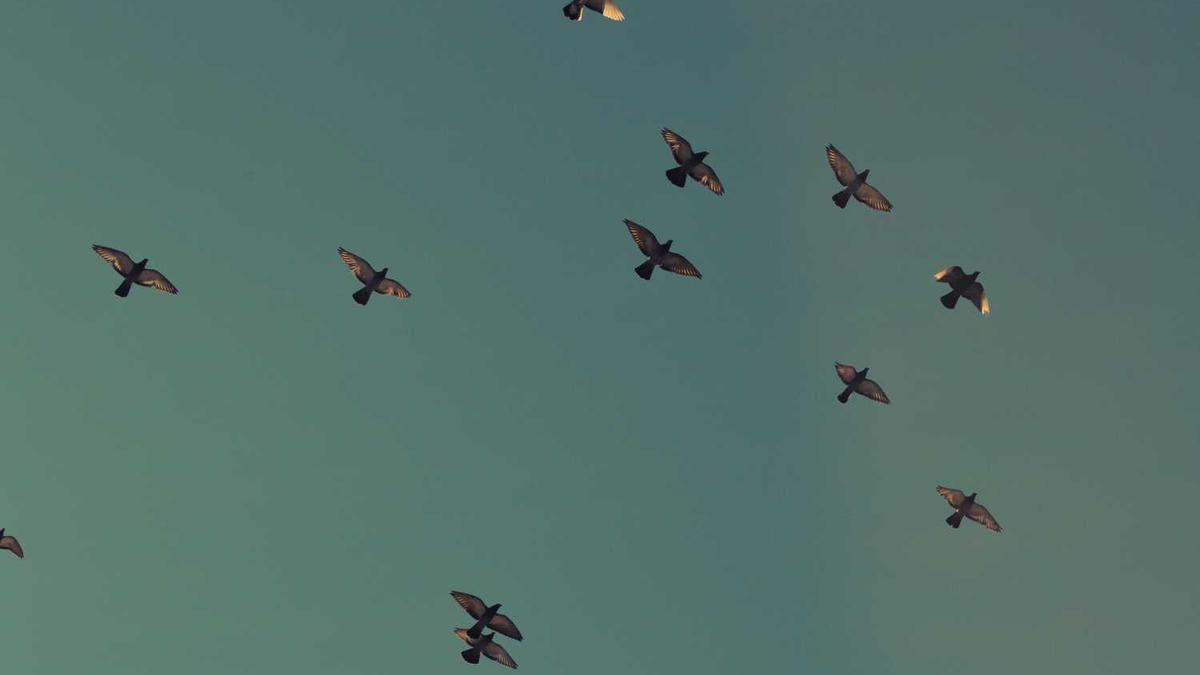 山西繁峙:安头治超站货车不进站治超站“形同虚设”