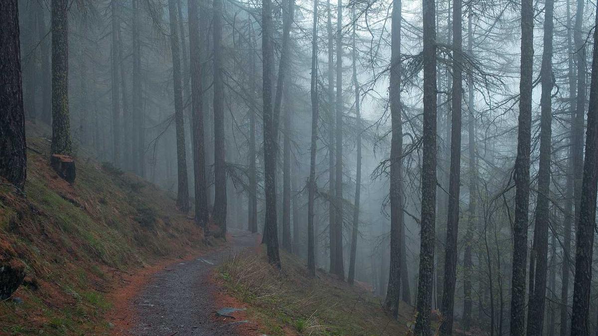 湖北省地质局冶金地质勘探大队