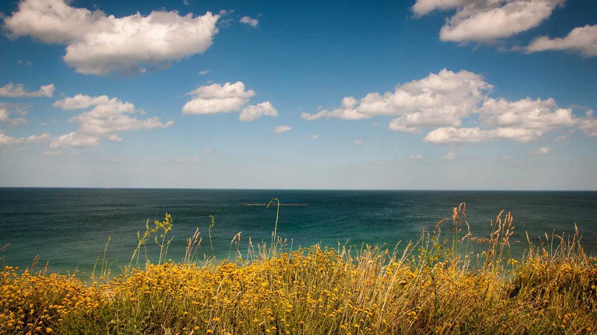 全国首批创建禁毒城市有多少个