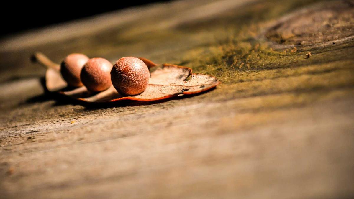 梅州水上乐园排行榜